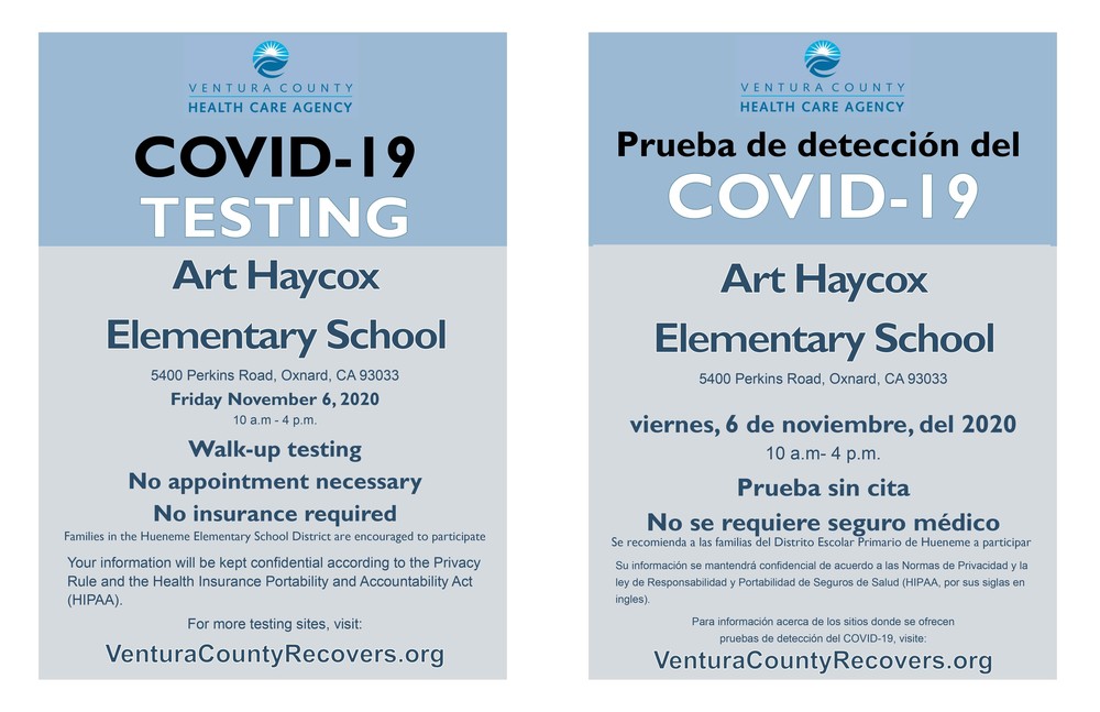 Pruebas de COVID/COVID Testing
