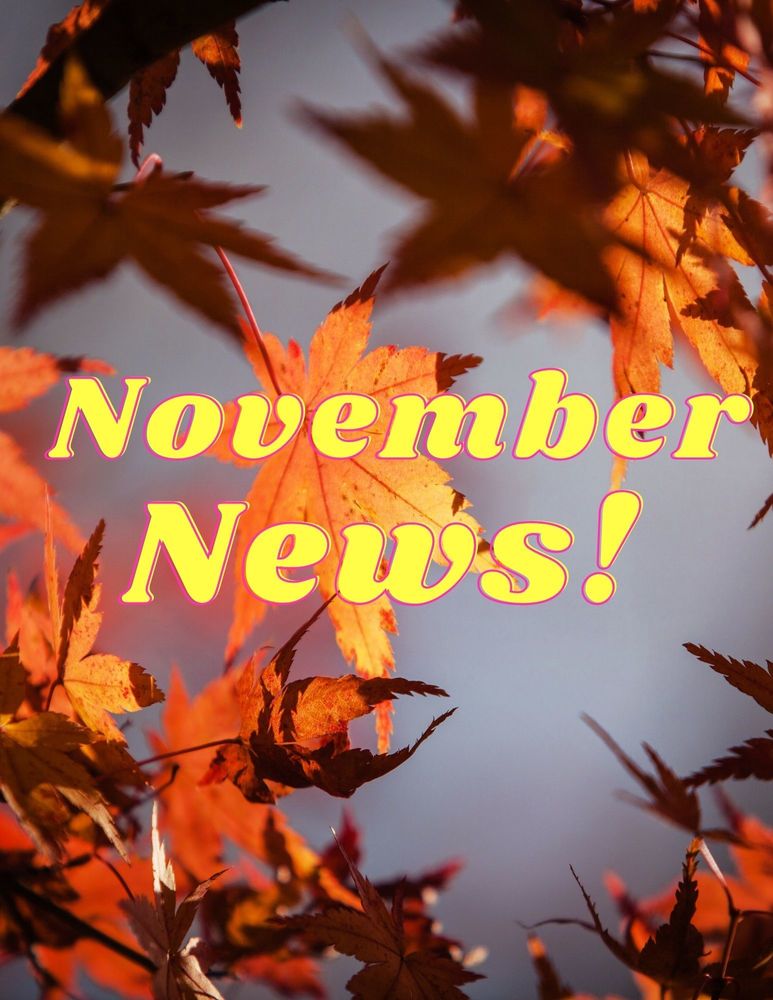November News! 