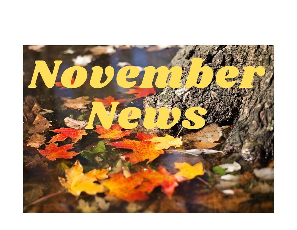 November News!