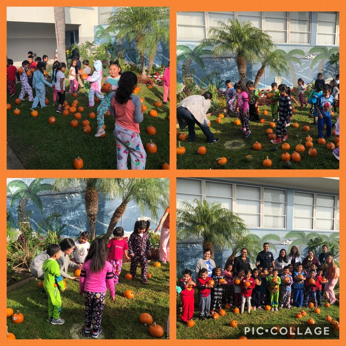 Pumpkin Event #3